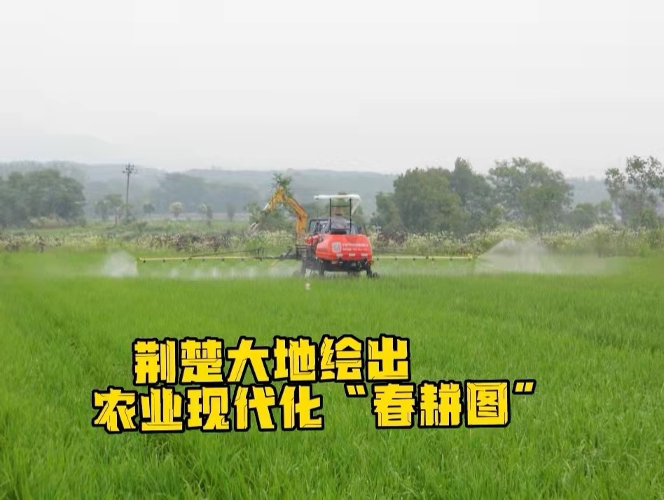 2022湖北三农观察