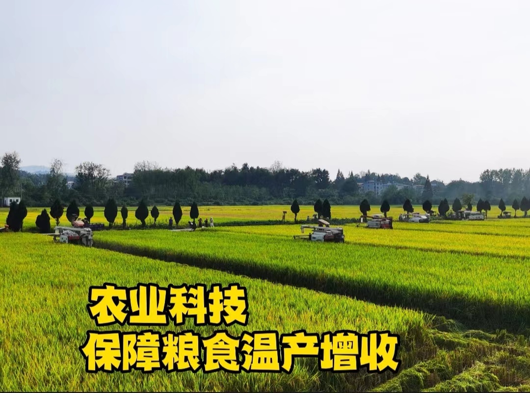 农业科技“硬核”支撑保障粮食稳产增产