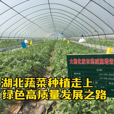 湖北蔬菜种植走上绿色高质量发展之路