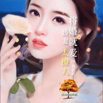 将婚就爱娇妻太撩人 将婚就爱娇妻太撩人