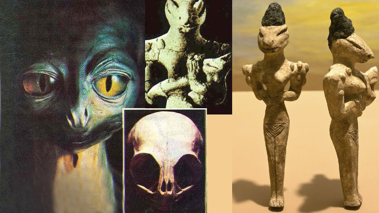 解开宇宙中的星际文明
