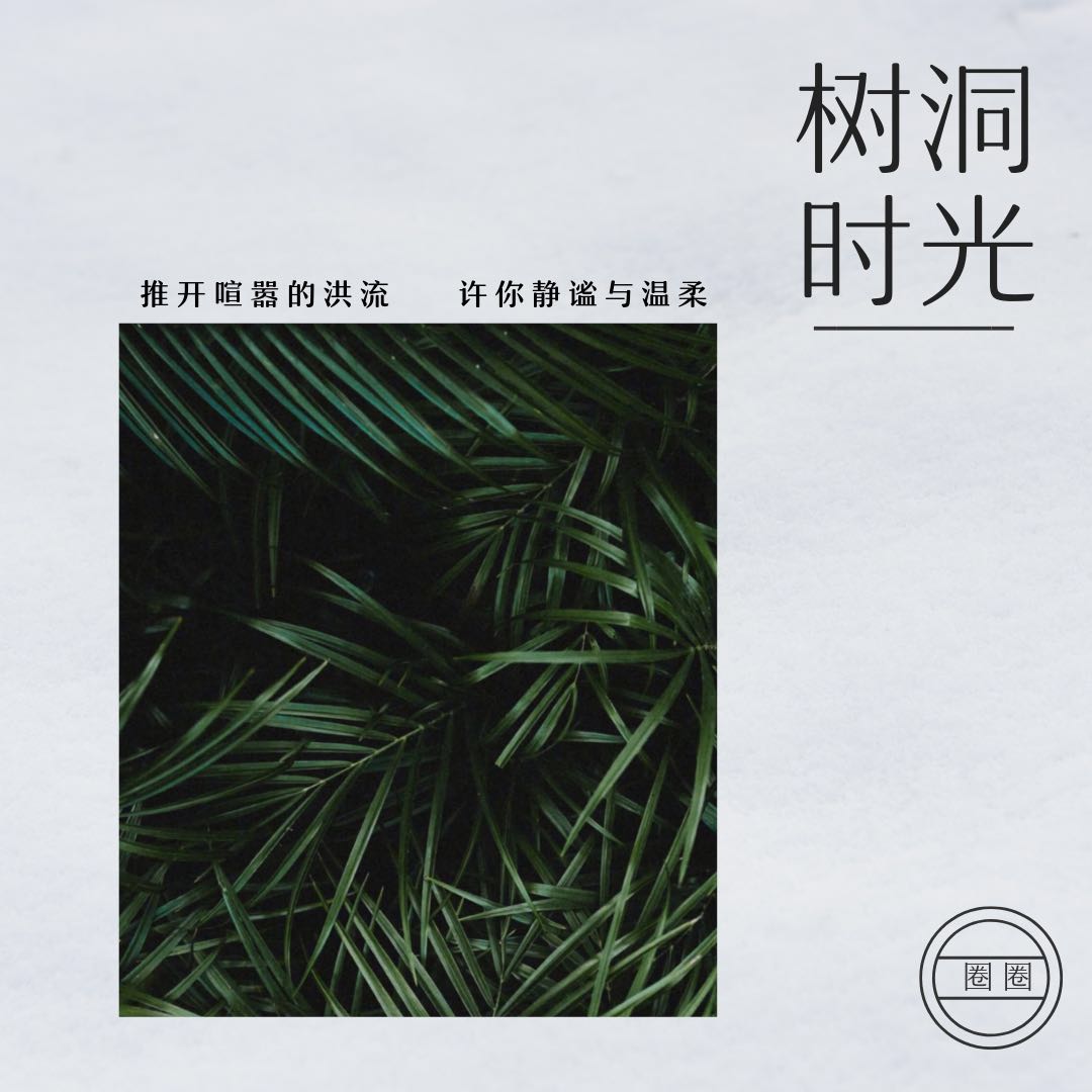树洞时光