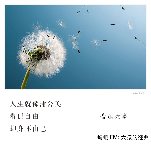 音乐故事
