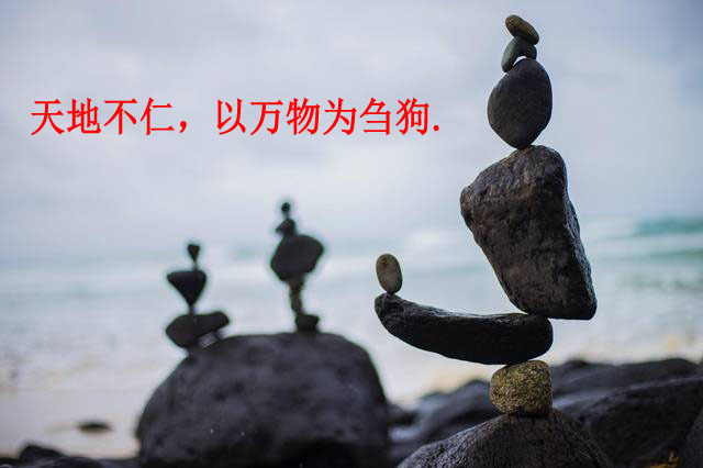 天地万物 人间百态
