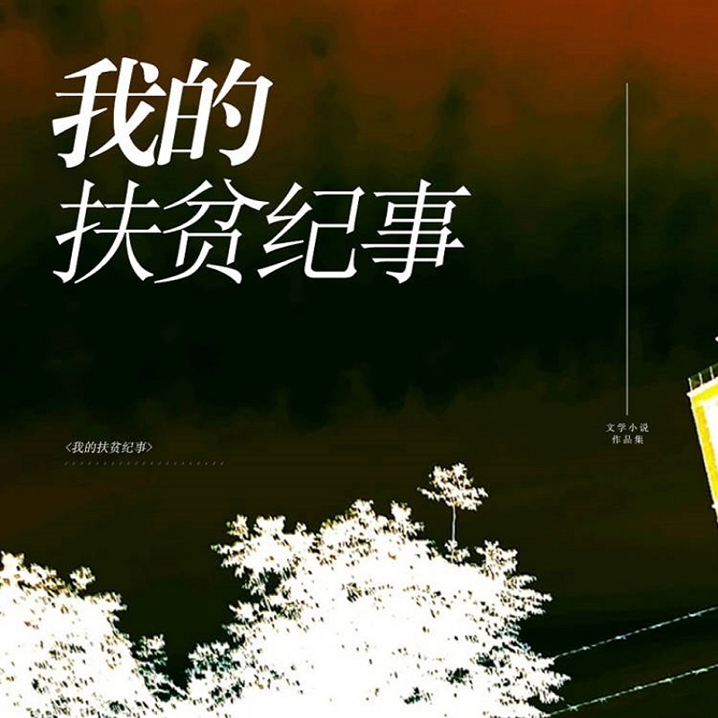 我的扶贫纪事