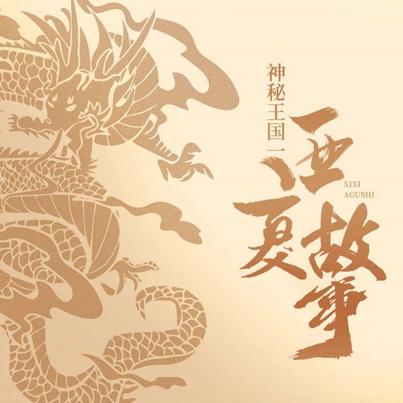 神秘王国一西夏故事