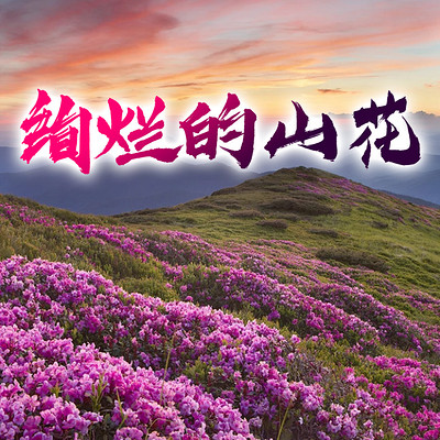绚烂的山花 绚烂的山花