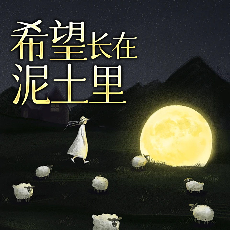 希望长在泥土里