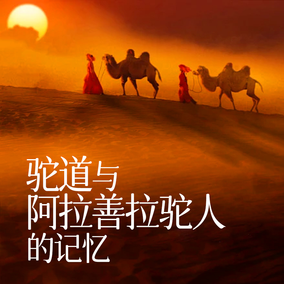 驼道与阿拉善拉驼人的记忆