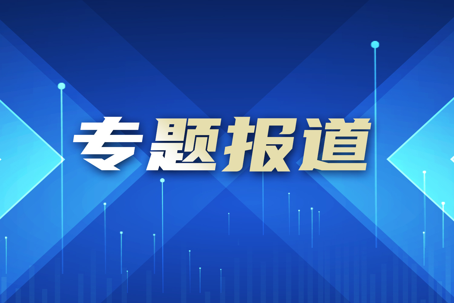专题报道