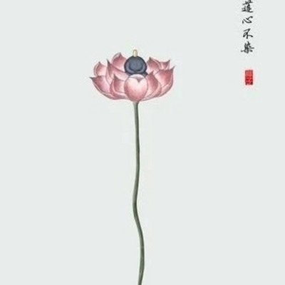 心经讲记读诵