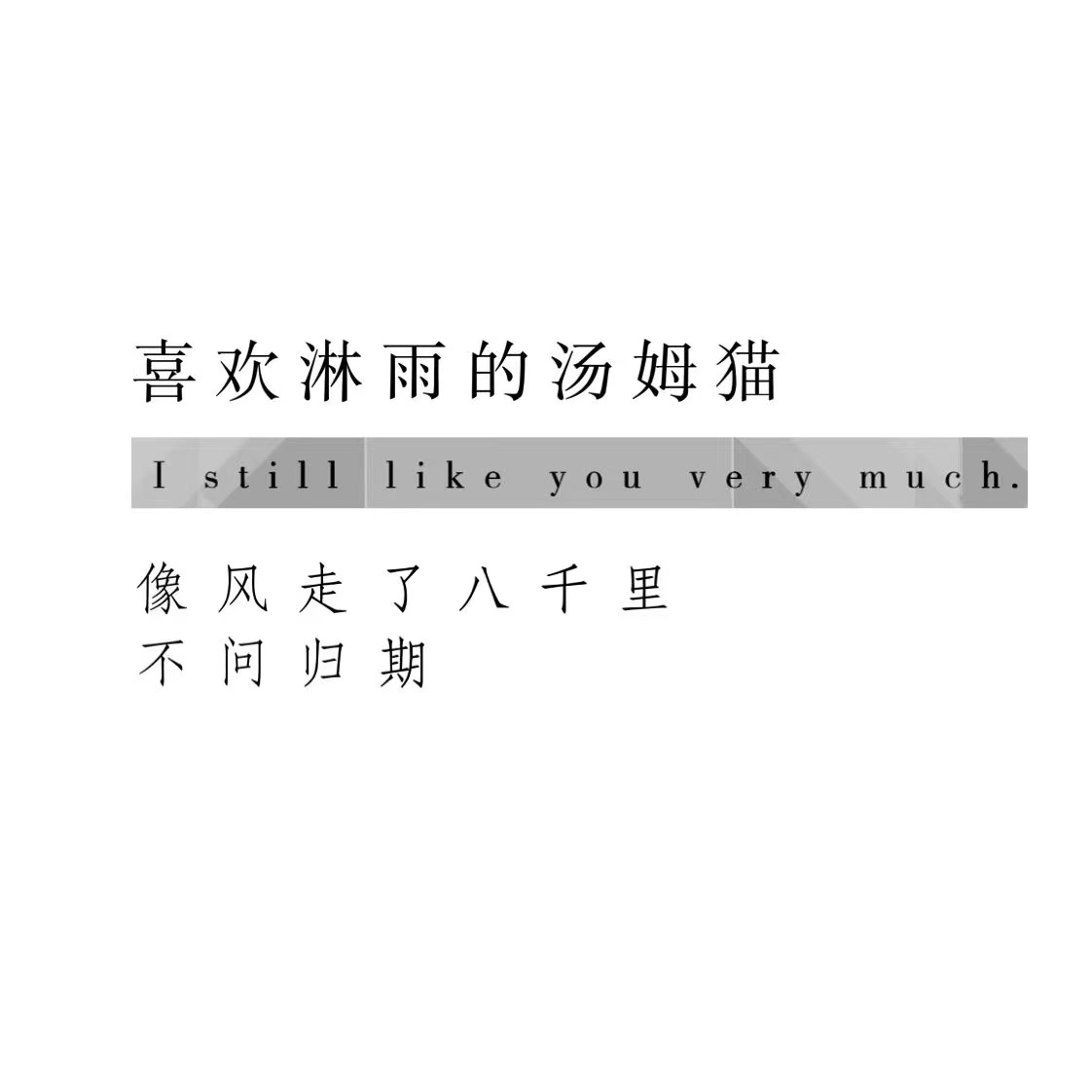 喜欢淋雨的汤姆猫