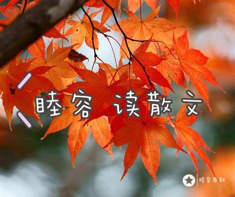 睦容读散文