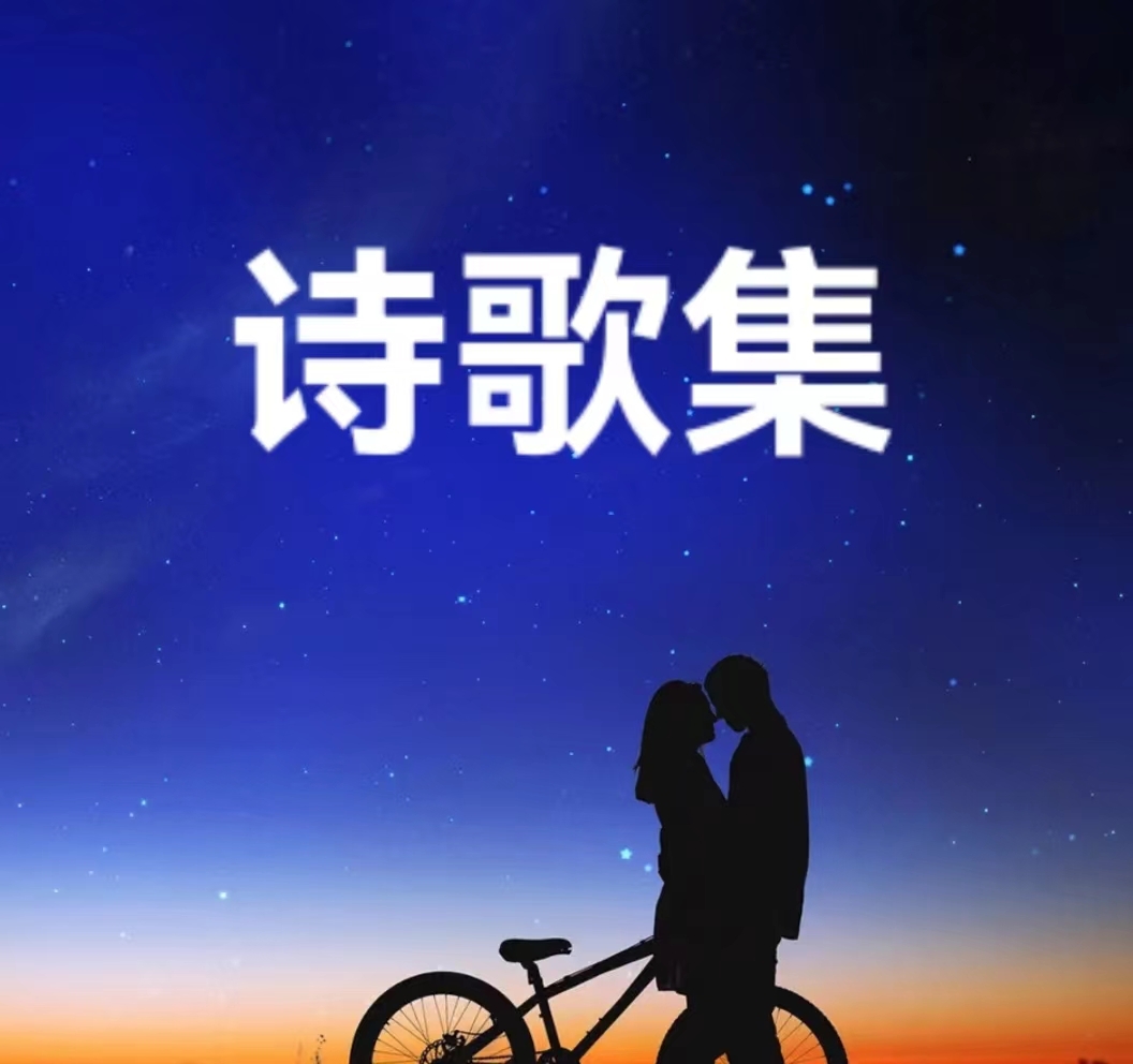 诗歌集