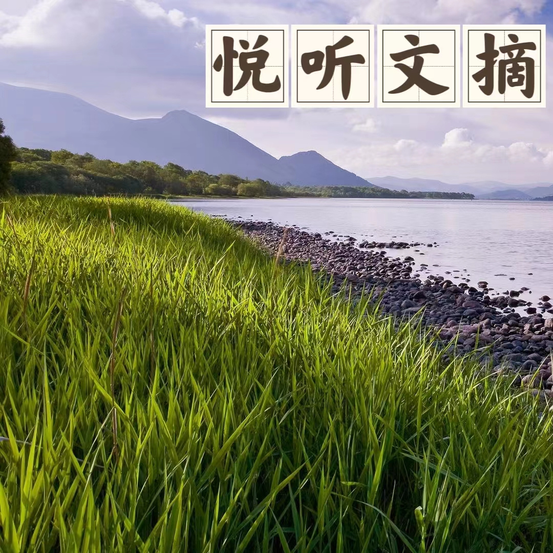 悦听文摘