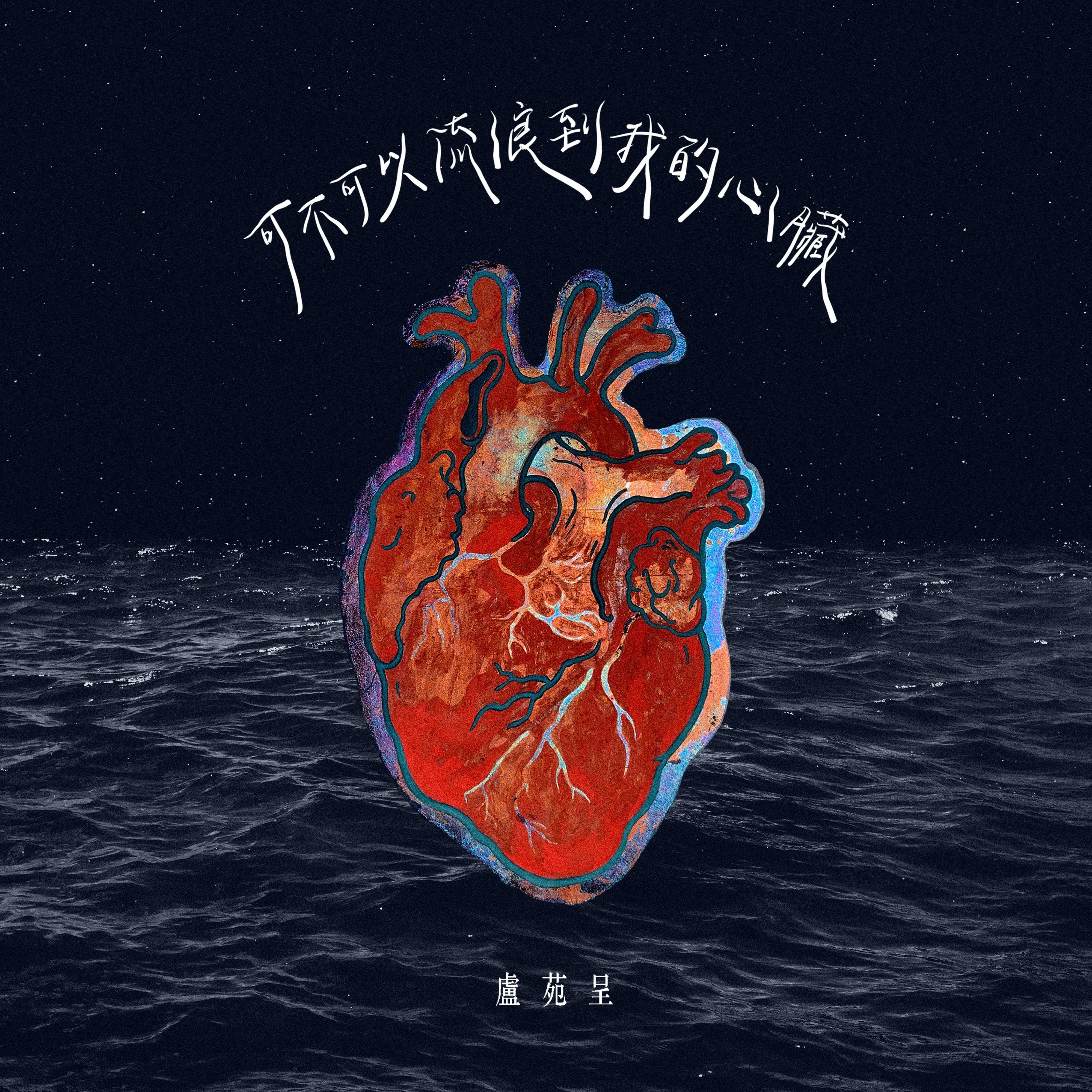 卢苑呈：可不可以流浪到我的心脏