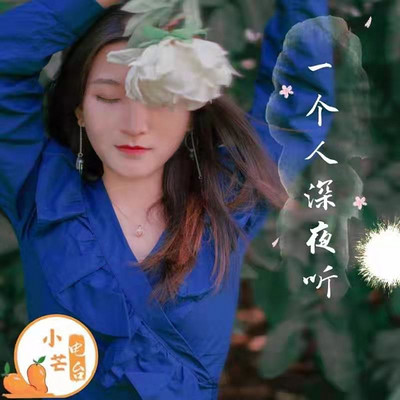 一个人深夜听