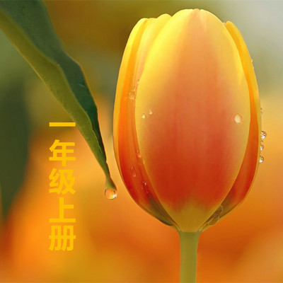 2021年最新课文朗诵|一年级上册