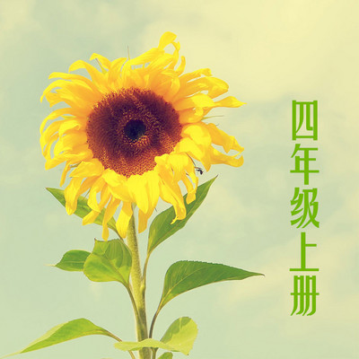 2021年最新课文朗诵|四年级上册 2021年最新课文朗诵|四年级上册