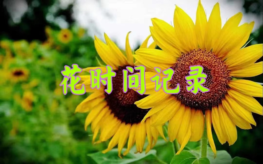 花时间记录