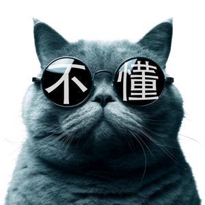 猫不懂深度解读西游