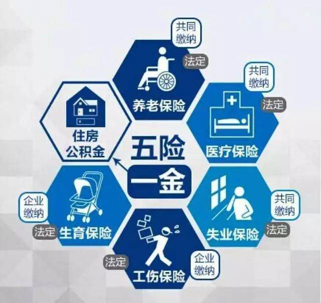 社保医保公积金实例讲解