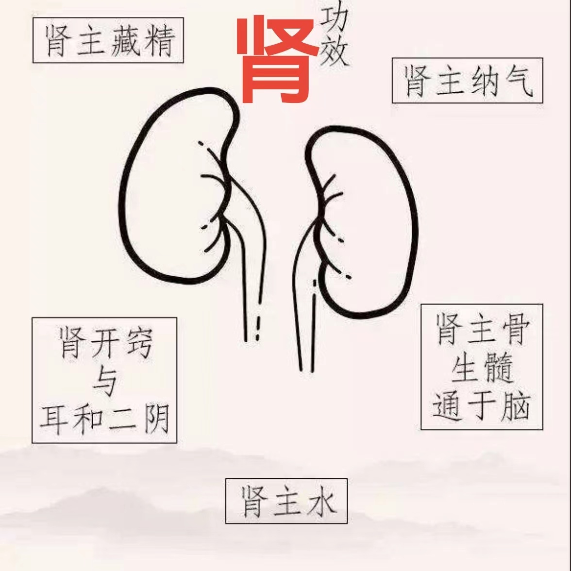 黄煌教授《经方在肾病中的应用》（全集）