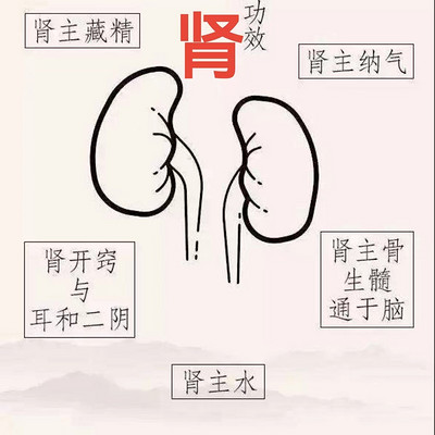 黄煌教授《经方在肾病中的应用》（全集）