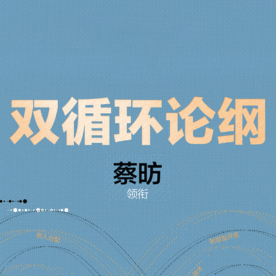 双循环新发展·蔡昉谈