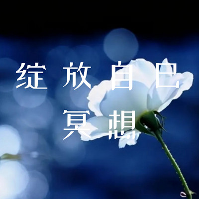 10天绽放自己冥想 10天绽放自己冥想