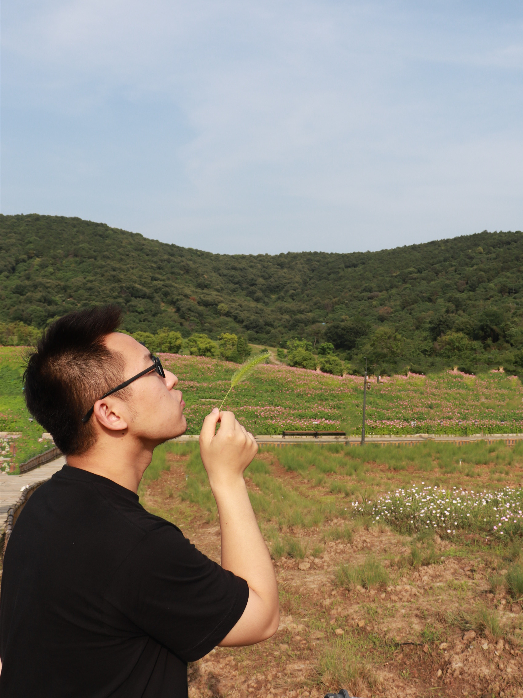 白小白的枕边故事