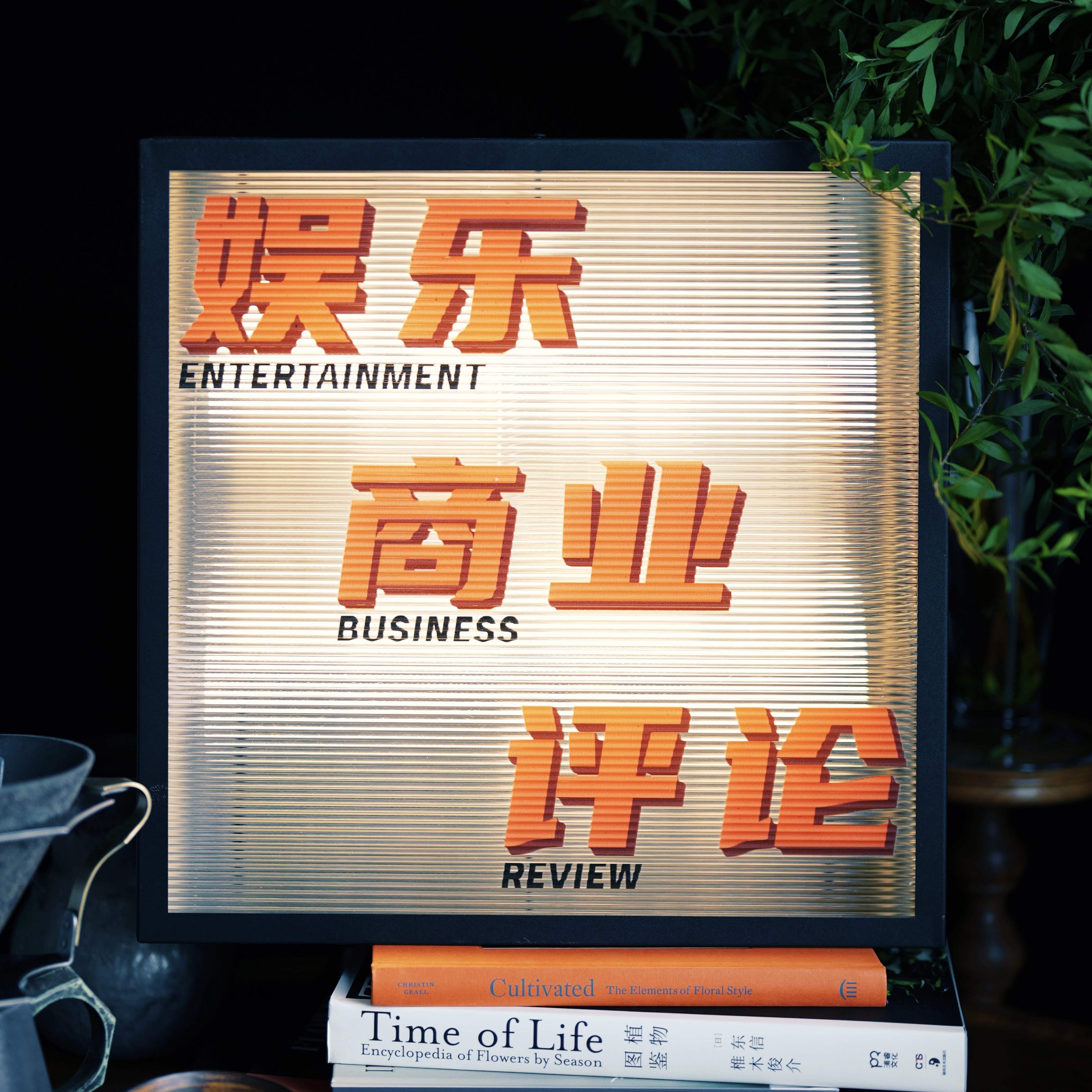 娱乐商业评论