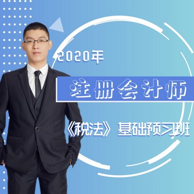 2020年CPA/税法