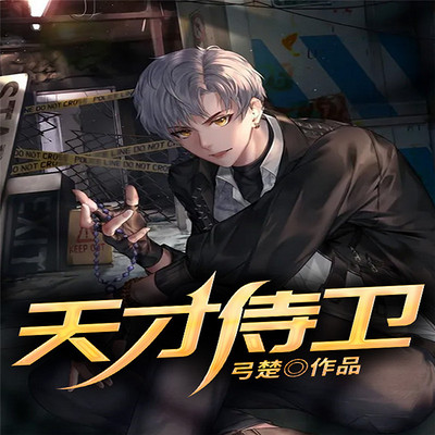 天才侍卫 天才侍卫