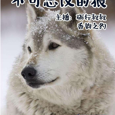 不可思议的狼丨少儿科普丨动物百科丨睡前故事