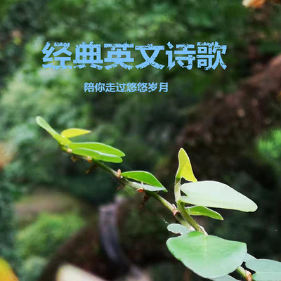 经典英文诗歌