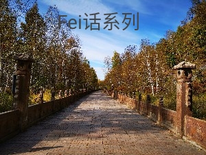 Fei话系列