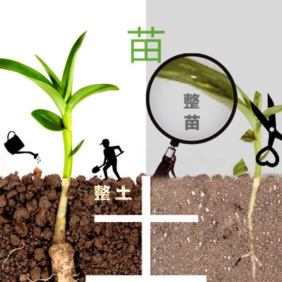 家庭教育，孩子教育，父母成长的必修课