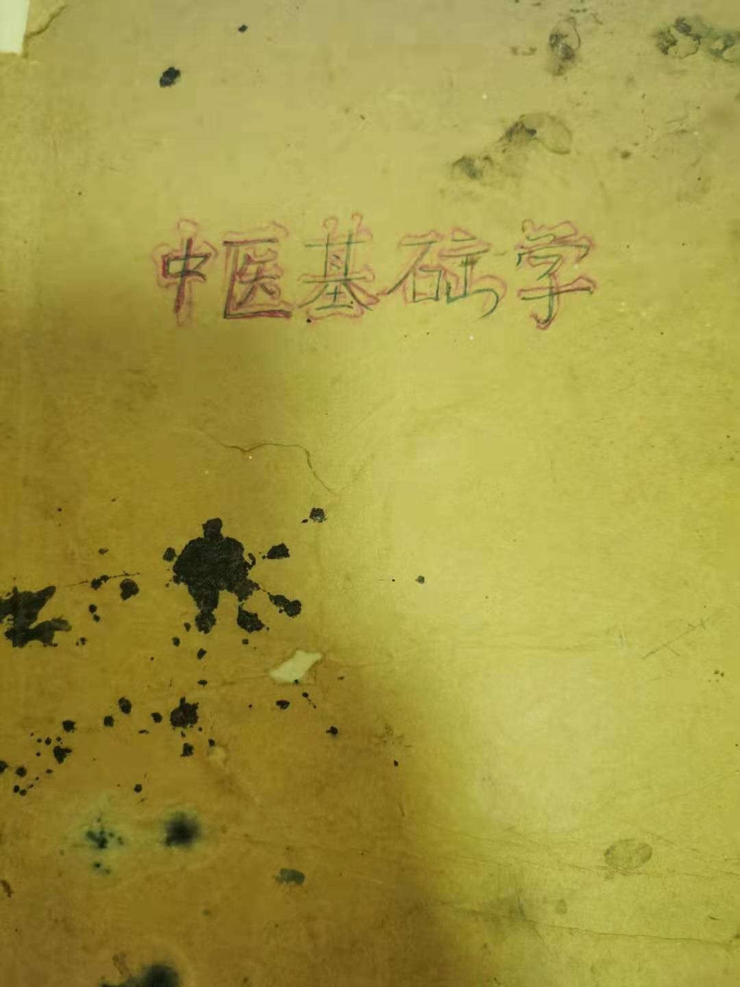 中医养生基础