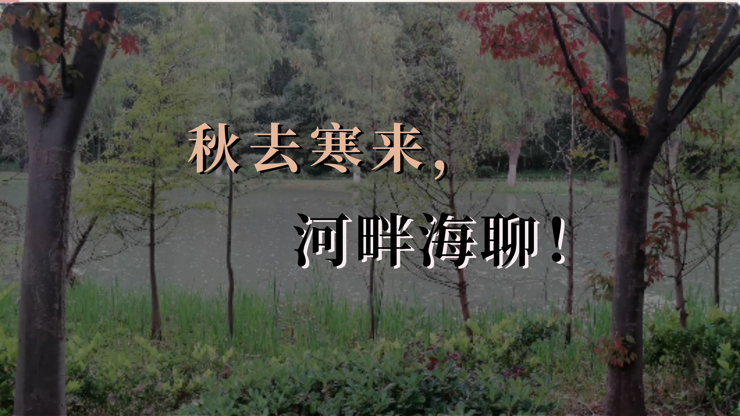 主题五：秋去寒来，河畔海聊