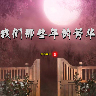 我们那些年的芳华 我们那些年的芳华