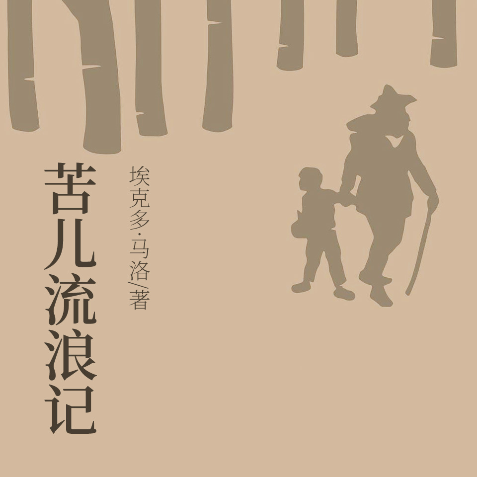 苦儿流浪记