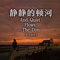 非常经典：静静的顿河（一二三四五六七八）