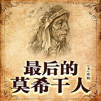 非常经典：最后的莫希干人（上下）