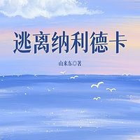 逃离纳利德卡