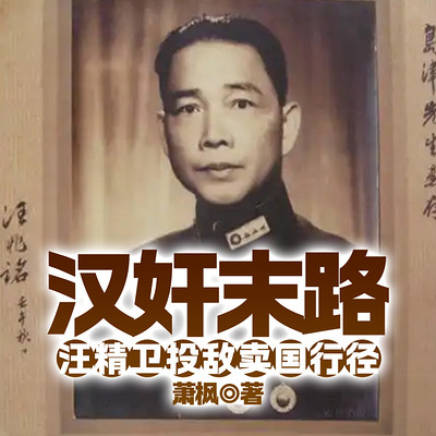 汉奸末路——汪精卫投敌卖国行径