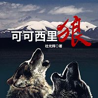 可可西里狼