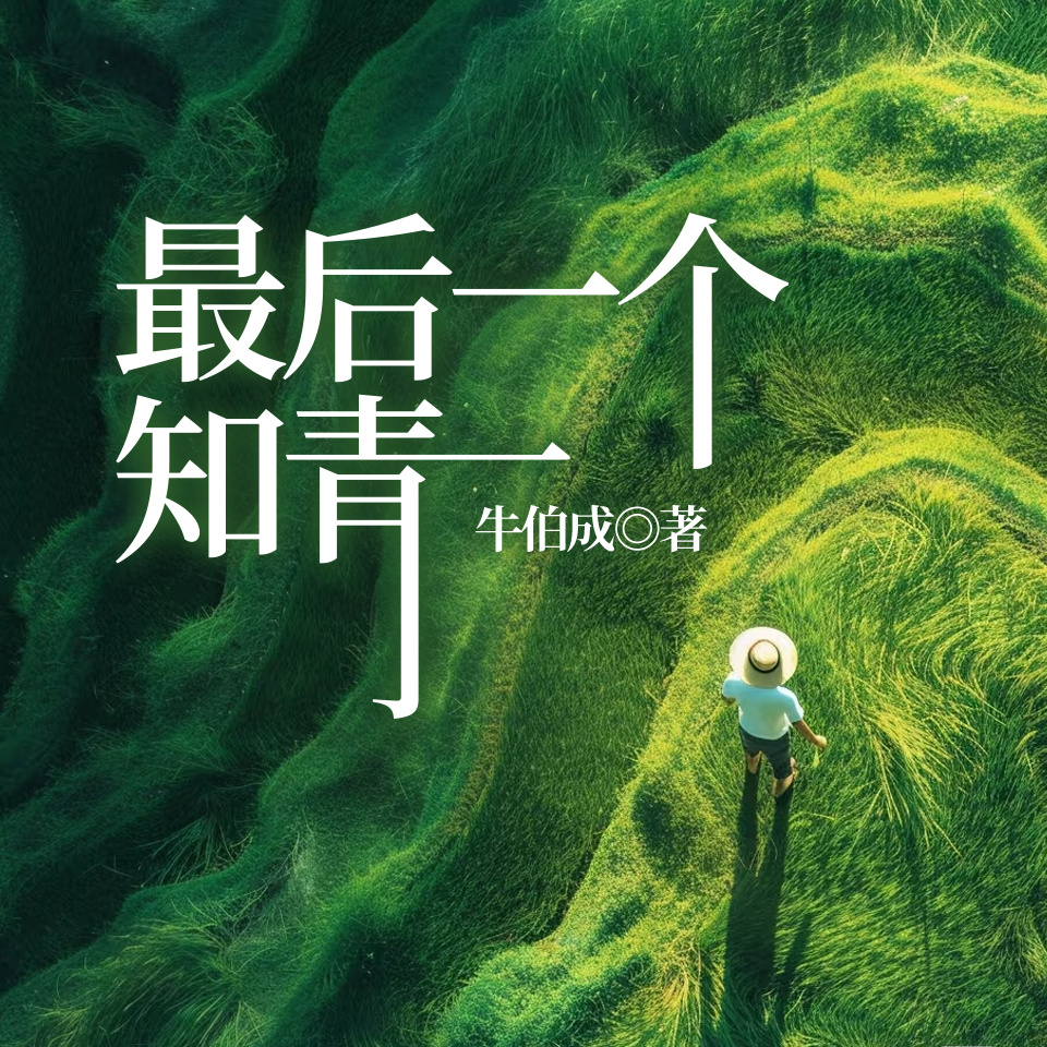 最后一个知青