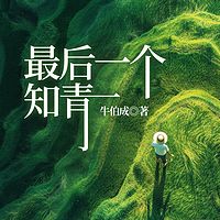 最后一个知青