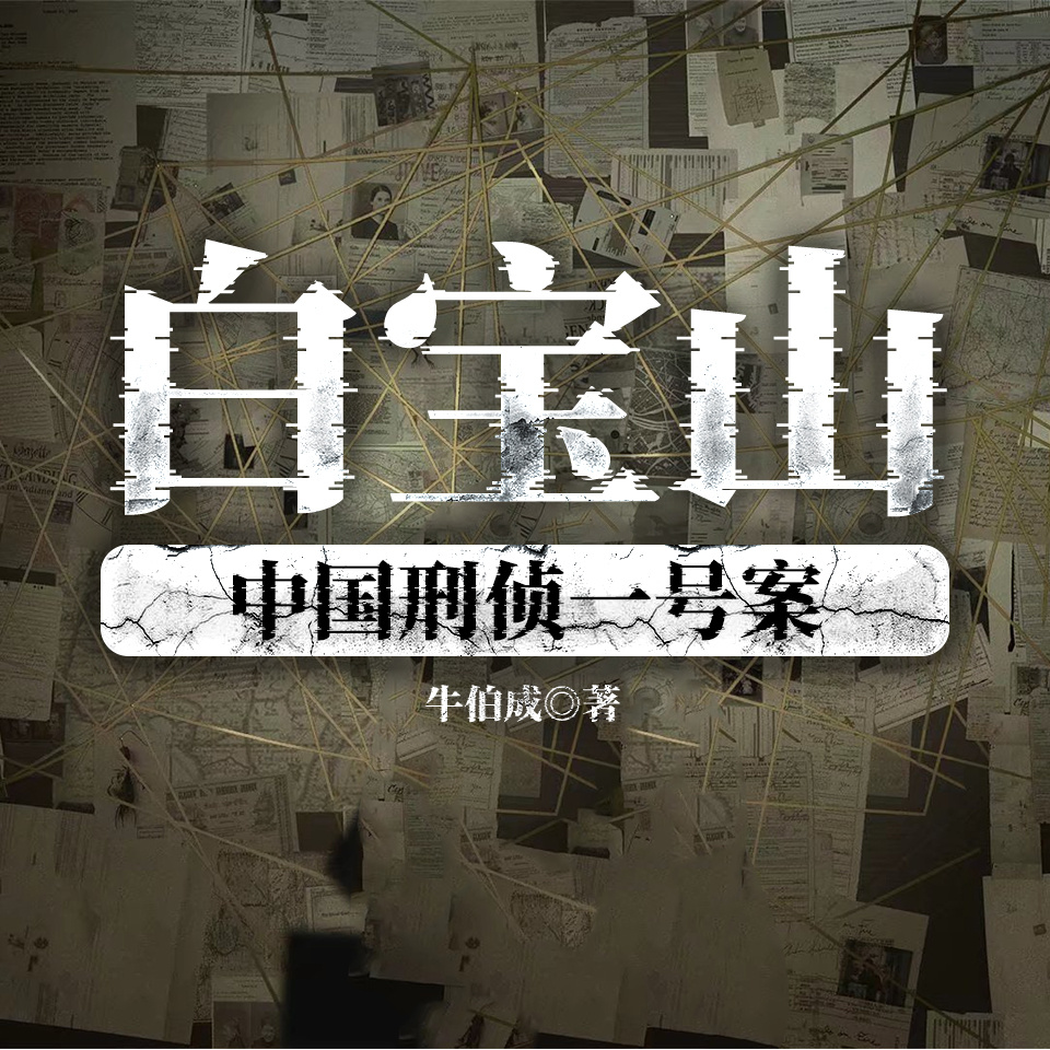 中国刑侦一号案 震惊全国的白宝山持枪杀人抢劫案纪实